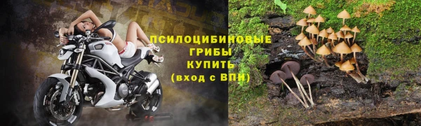 не бодяженный Армянск