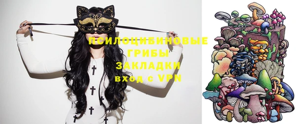 скорость Аркадак