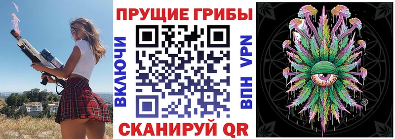 как найти закладки  Усть-Катав  Псилоцибиновые грибы ЛСД 